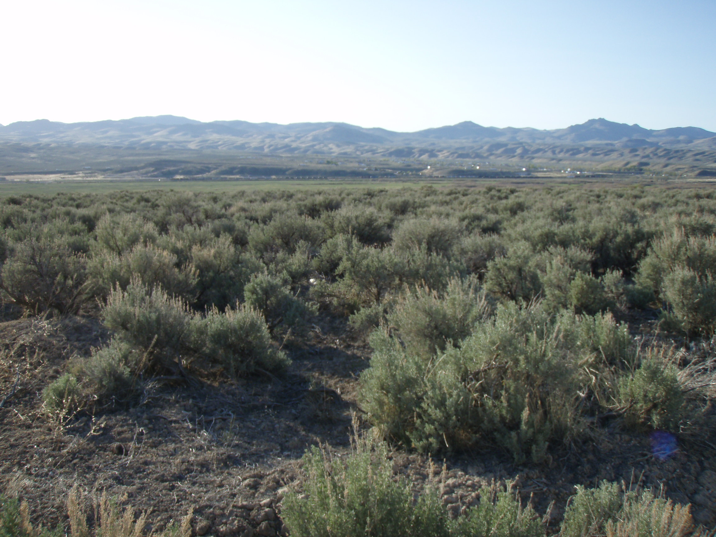 Elko Nevada land for sale